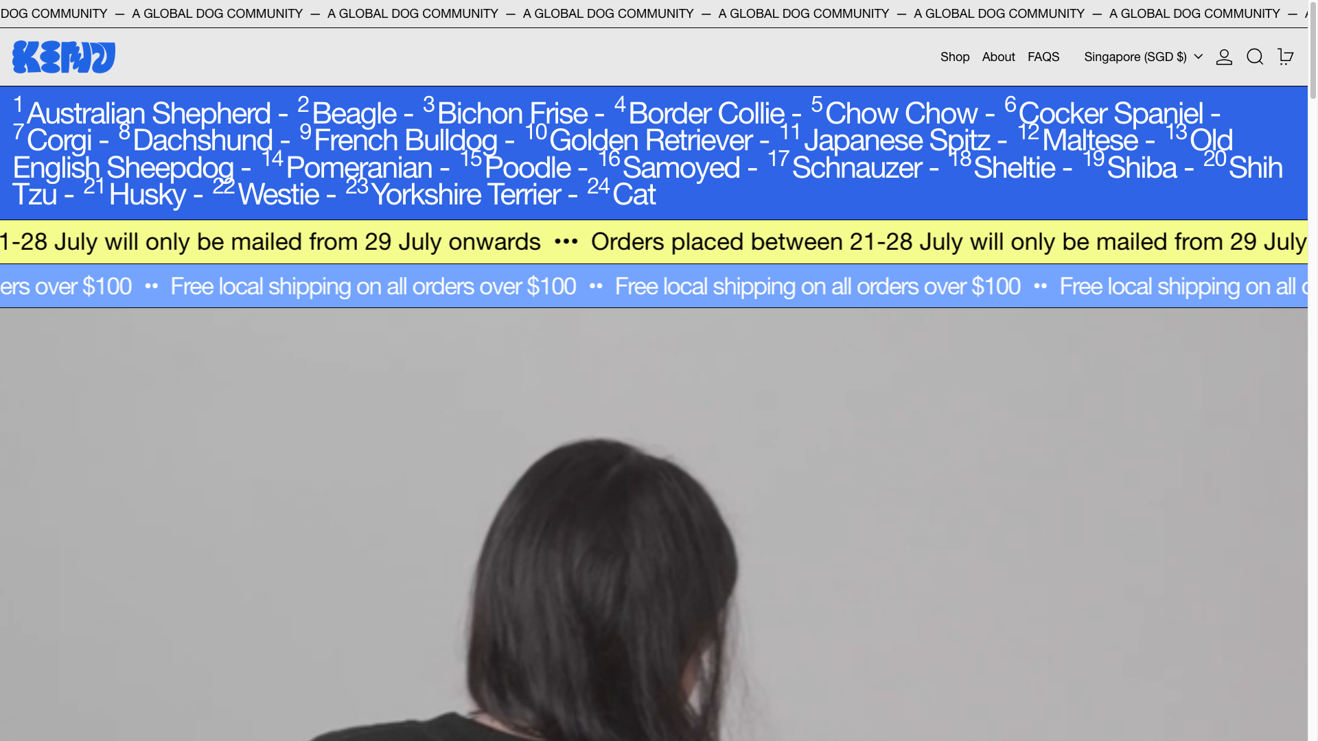 Kinu desktop storefront capture